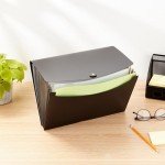 Amazon Basics Expanding Organizer File Folder, Letter Size - Black, 1-Pack