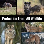 Bear Deterrent Spray with Heavy Duty Holster