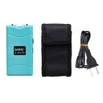 SABRE Stun Gun with LED Flashlight & Holster