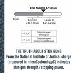 SABRE Stun Gun with LED Flashlight & Holster