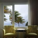 BDF S8MC 8 Mil Clear Window Security Film