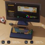 RK Royal Kludge RKS70 Wireless Ergonomic Split Keyboard