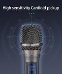 Rechargeable Dual Wireless Microphone System for Events