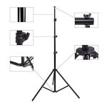 Green Screen Setup with Stand and Carry Bag