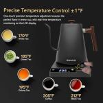 Gooseneck Electric Kettle with Precision Temperature Control