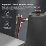 Gooseneck Electric Kettle with Precision Temperature Control