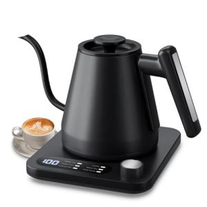 Tisanio Gooseneck Electric Kettle with Temp Control