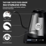 Tisanio Gooseneck Electric Kettle with Temp Control