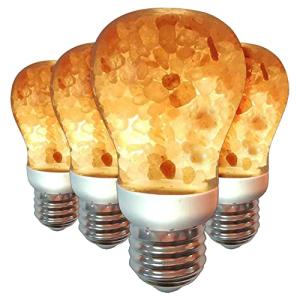 Himalayan Glow LED Salt Light Bulbs - 4 Pack