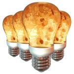 Himalayan Glow LED Salt Light Bulbs - 4 Pack