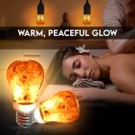 Himalayan Glow LED Salt Light Bulbs - 4 Pack