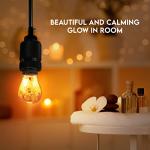 Himalayan Glow LED Salt Light Bulbs - 4 Pack