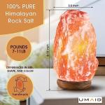 Dimmable Himalayan Salt Lamp with Wooden Base