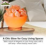 Himalayan Salt Massage Bowl Lamp with Dimmer