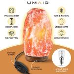 Dimmable Himalayan Salt Lamp with Wooden Base