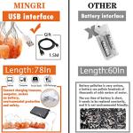 Himalayan Salt LED String Light for Nights