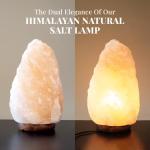 Extra Large Himalayan Pink Salt Lamp with Dimmable Cord