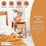 Dimmable Himalayan Salt Lamp with Wooden Base