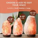 Himalayan Salt Lamp with Dimmer Switch and Base
