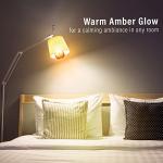 Himalayan Glow LED Salt Light Bulbs - 4 Pack