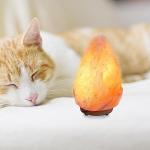 Dimmable Himalayan Salt Lamp with Wooden Base