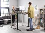 Ergonomic Standing Desk Balance Board Mat