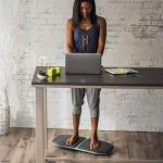 Gaiam Evolve Balance Board for Active Standing