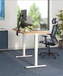 FLEXISPOT E6 Height Adjustable Bamboo Standing Desk