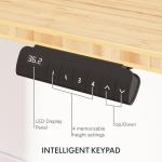 FLEXISPOT E6 Height Adjustable Bamboo Standing Desk