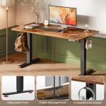 Large Electric Standing Desk with Height Adjustments