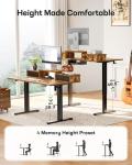 Marsail 55" Height Adjustable Electric Standing Desk