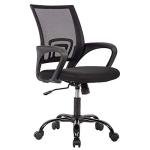 Ergonomic Adjustable Desk Chair with Lumbar Support