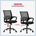 Ergonomic Adjustable Desk Chair with Lumbar Support