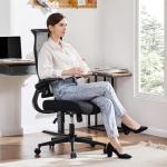 Sweetcrispy Ergonomic High Back Office Chair