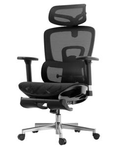 Hbada Ergonomic Office Chair with Adjustable Support