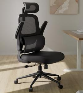 Hbada P1 Ergonomic Office Chair with Lumbar Support