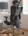 Hbada Ergonomic Office Chair with Lumbar Support