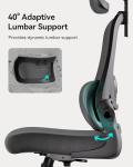 Hbada P1 Ergonomic Office Chair with Lumbar Support