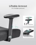 Hbada Ergonomic Office Chair with Lumbar Support