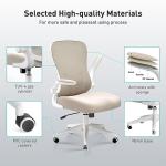Ergonomic Office Chair with Adjustable Lumbar Support