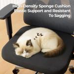 Hbada P3 Pro Ergonomic Office Chair with Lumbar Support