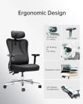 Hbada Ergonomic Office Chair with Lumbar Support