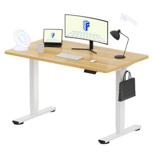 FLEXISPOT EN1 Adjustable Standing Desk, 48"x24