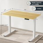 FLEXISPOT EN1 Adjustable Standing Desk, 48"x24