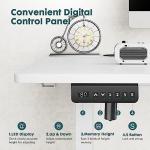 Adjustable Height Electric Standing Desk for Home Office