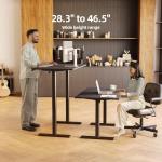 Adjustable Electric Standing Desk with Memory Presets