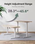 Adjustable Electric Standing Desk - 47 x 24 Inch