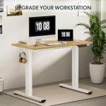 FLEXISPOT EN1 Adjustable Standing Desk, 48"x24