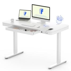 FLEXISPOT Adjustable Standing Desk with USB Charging