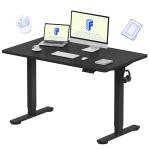 FLEXISPOT Electric Height Adjustable Standing Desk